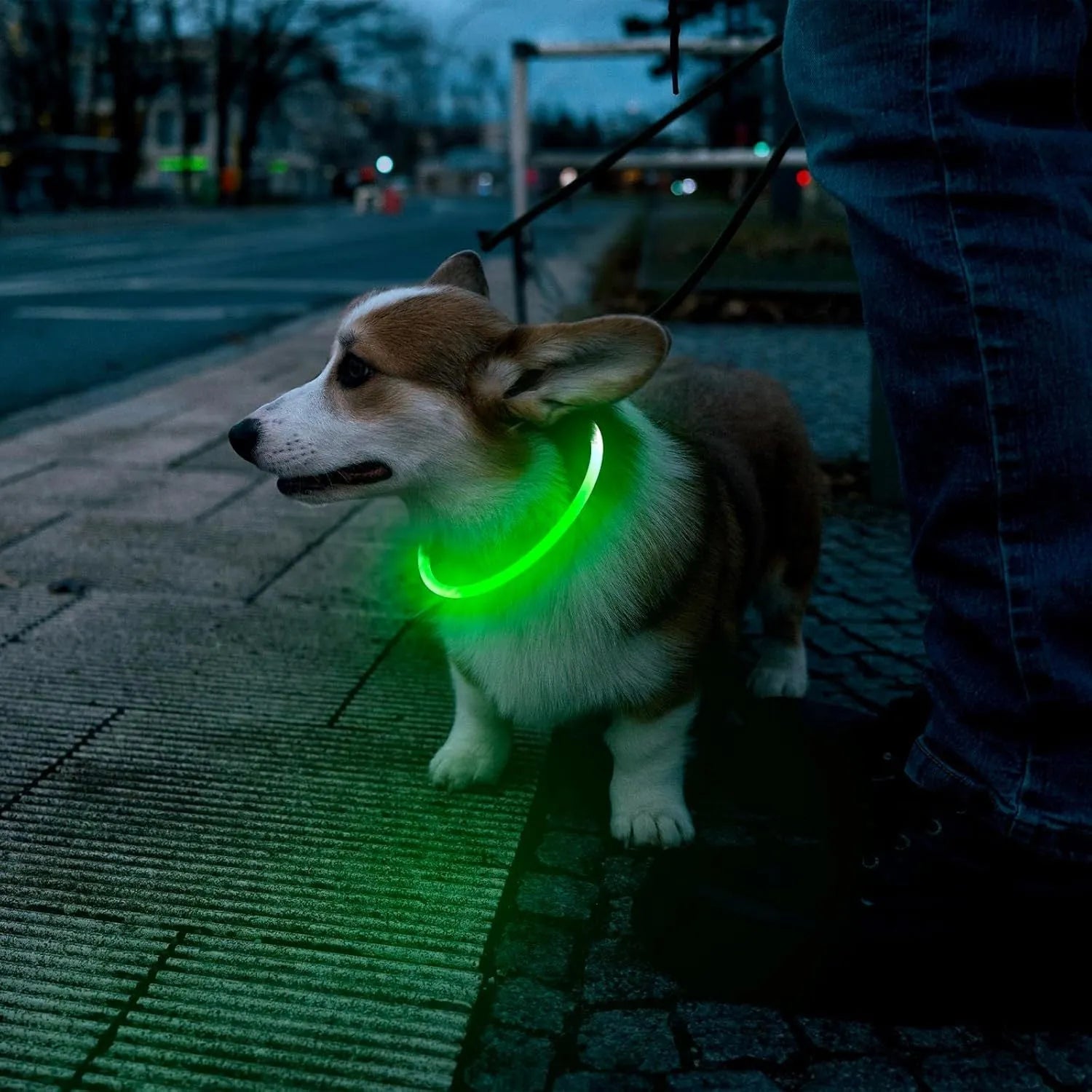 USB rechargeable LED dog collar showing blue illuminated light and adjustable 70cm TPU strap