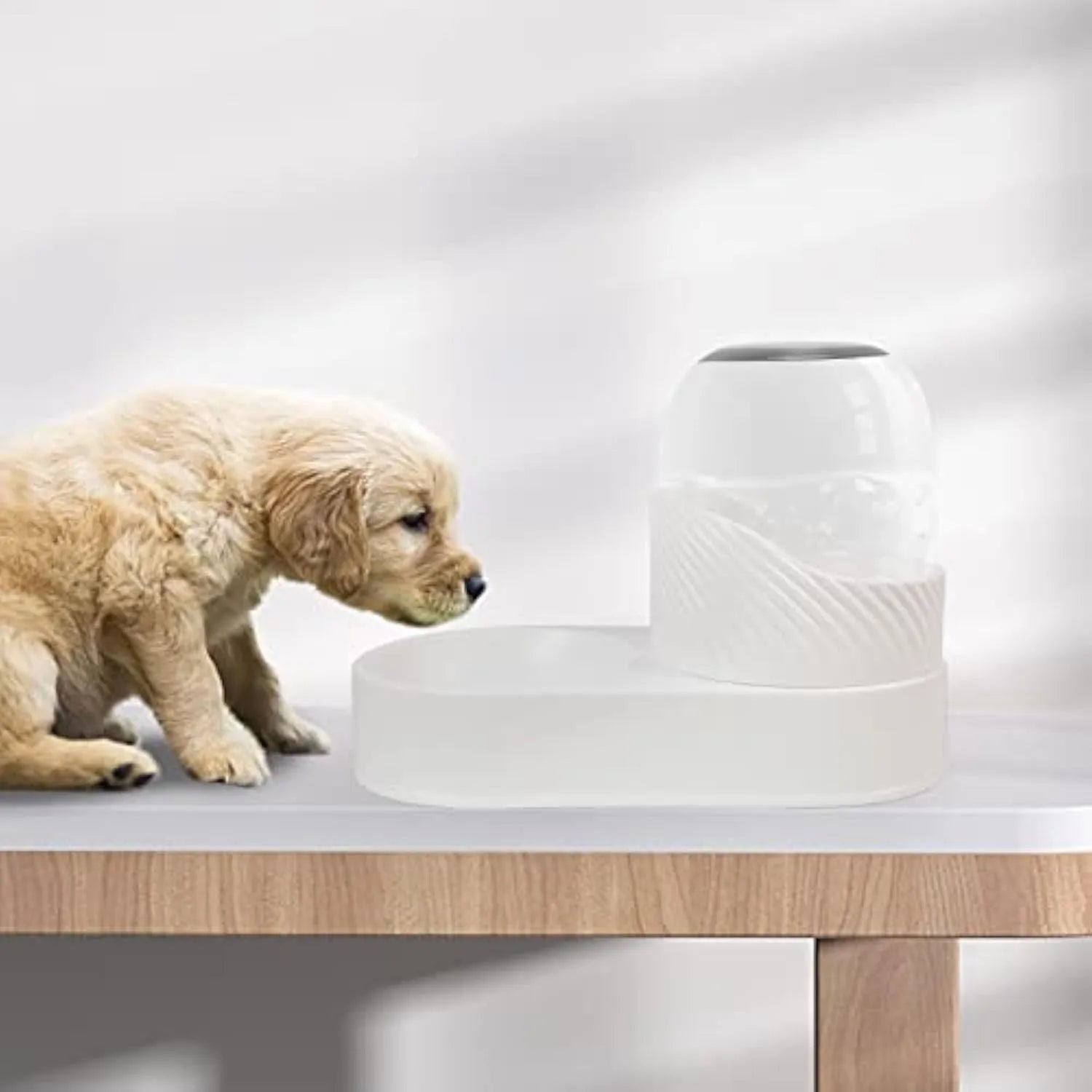 White plastic cat feeder and water dispenser set with wave-shaped design