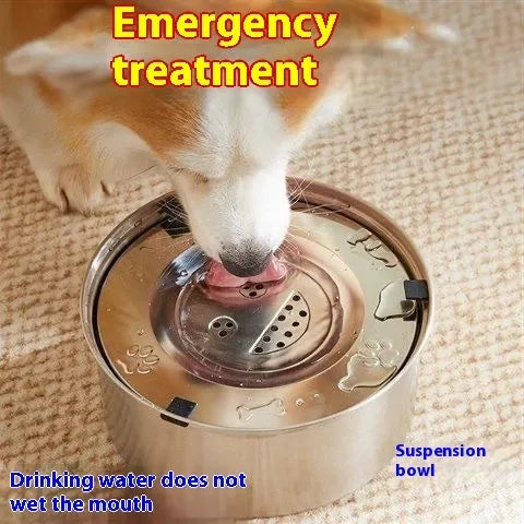 Silver stainless steel large capacity pet drinking water bowl for dogs and cats, 1L size shown