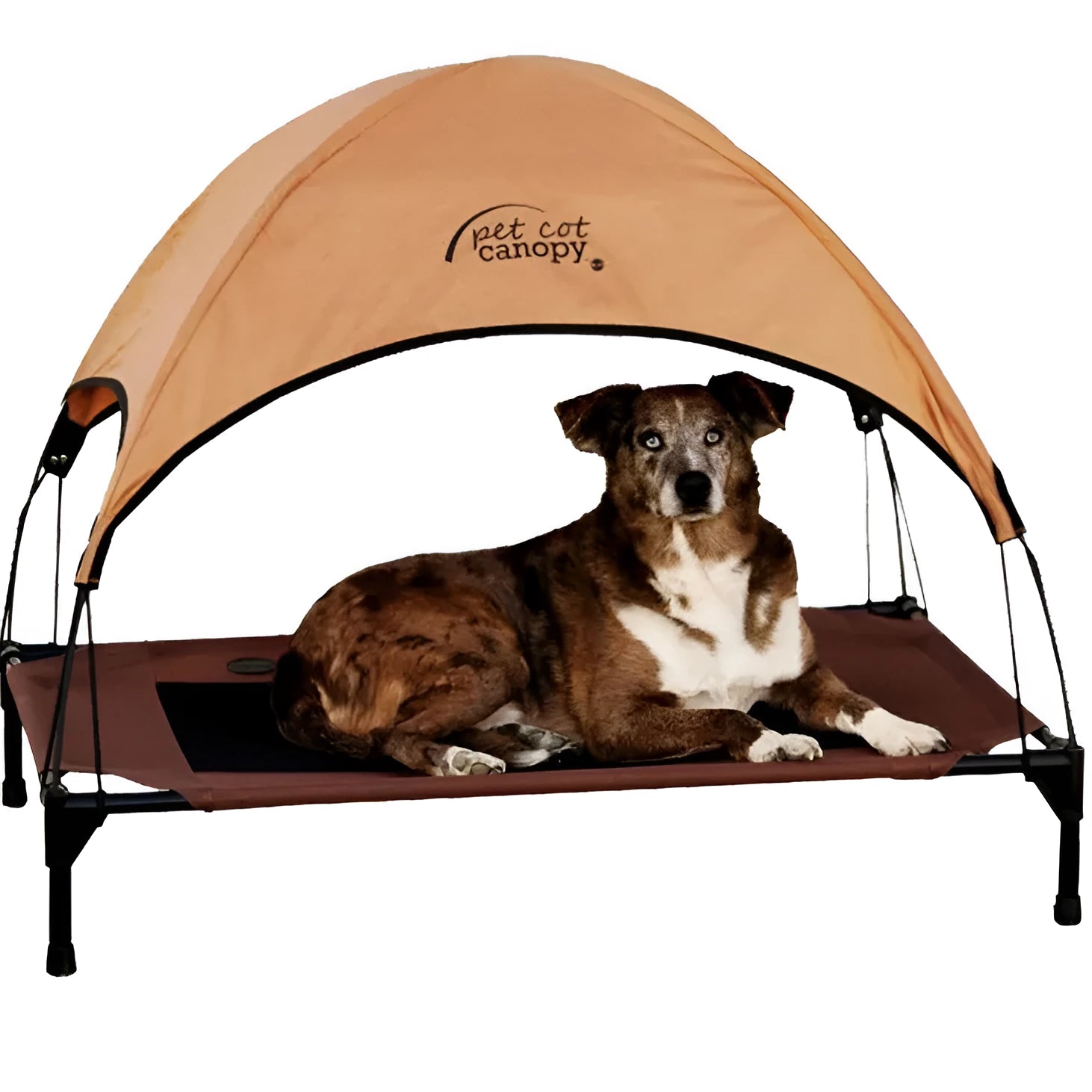 Coffee-coloured Oxford cloth pet bed on a painted metal tube frame, with removable washable surface, available in three sizes.