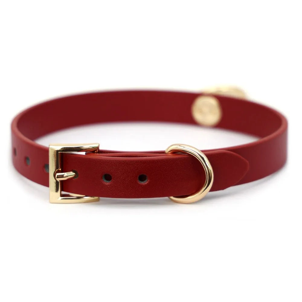 Genuine cowhide leather dog collar with brass D-ring and matching pull lead for large breeds.
