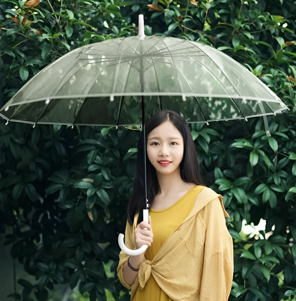 Transparent long handle umbrella showing 16-rib structure and black steel skeleton