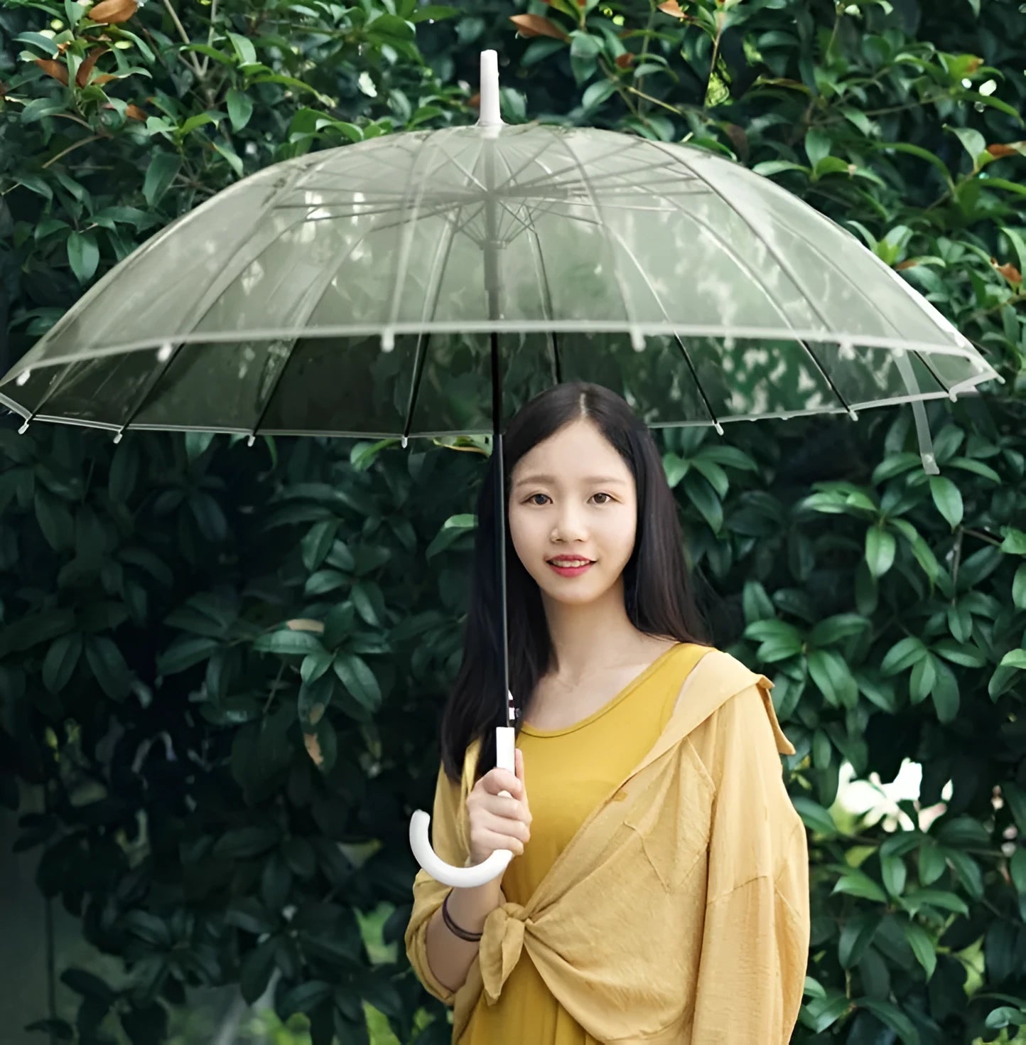 Transparent long handle umbrella showing 16-rib structure and black steel skeleton