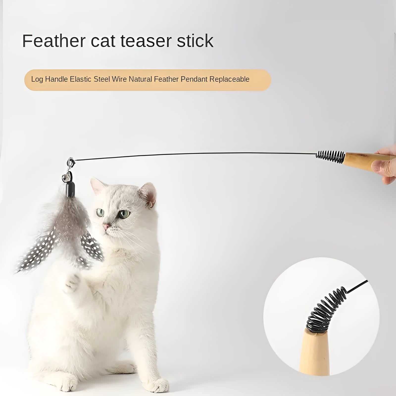Wooden handle cat teasing stick with feather bell replacement head in choice of four colours