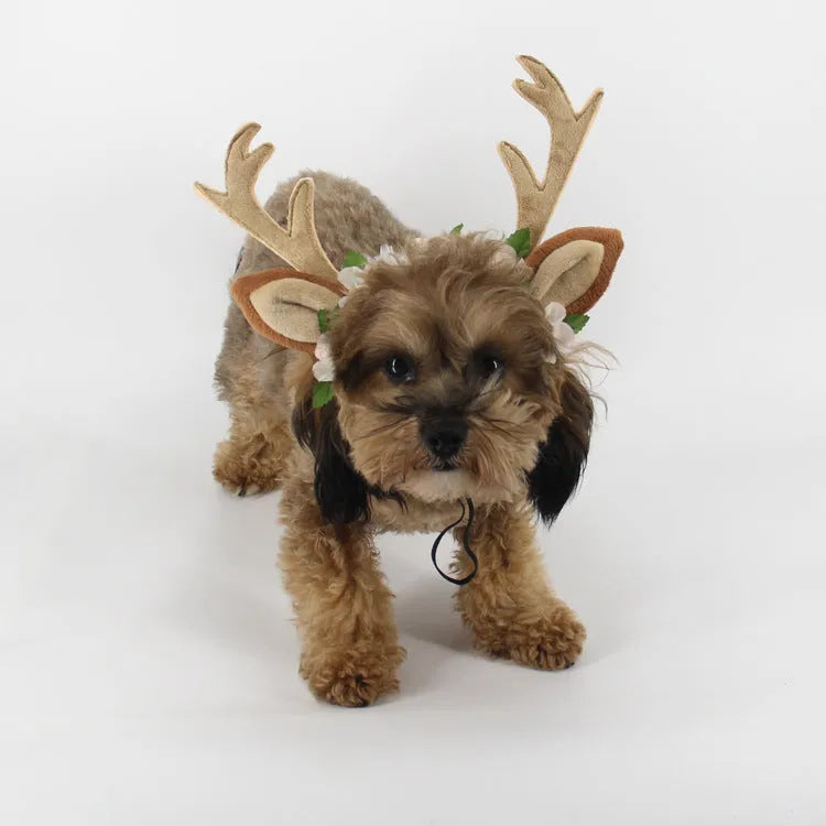 Christmas pet hat with short plush silk flower decoration on a small dog, available in three sizes