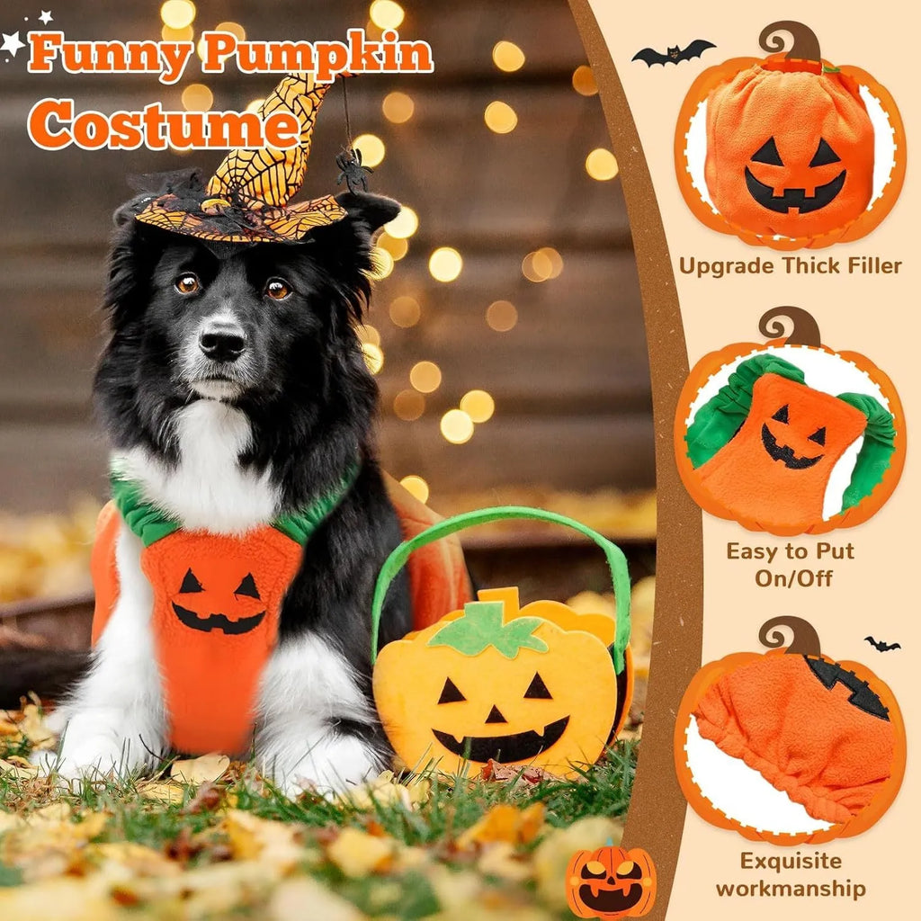 Orange plush pumpkin-shaped Halloween costume for a small dog, showing pullover design and soft texture.