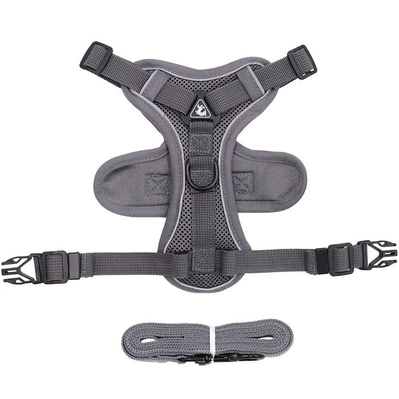 Cat anti-breakaway chest harness with 1.5-metre flat rope lead in grey, silver gradient chain detail