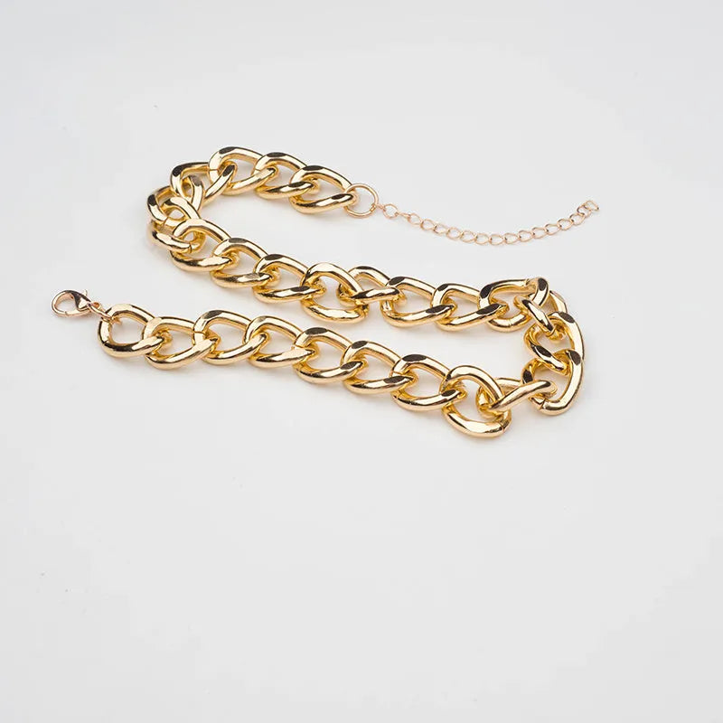 Gold metal pet necklace with extension chain on a cat or dog