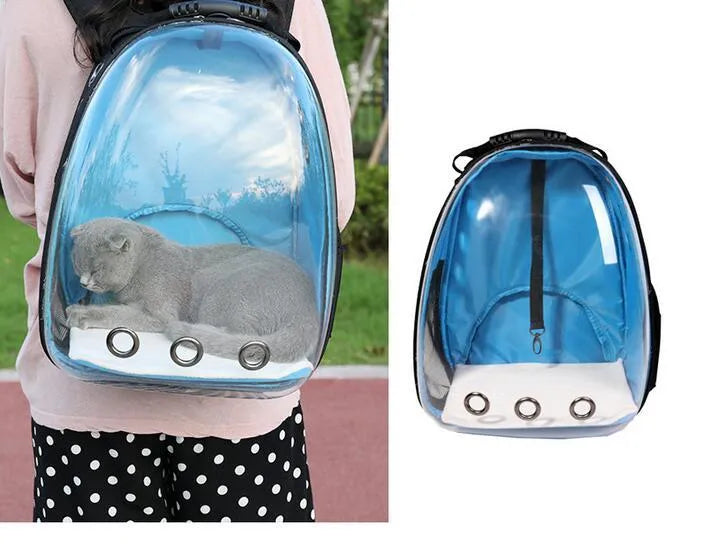 Transparent plastic pet backpack in solid colour with pet inside, available in yellow red green blue and more shades