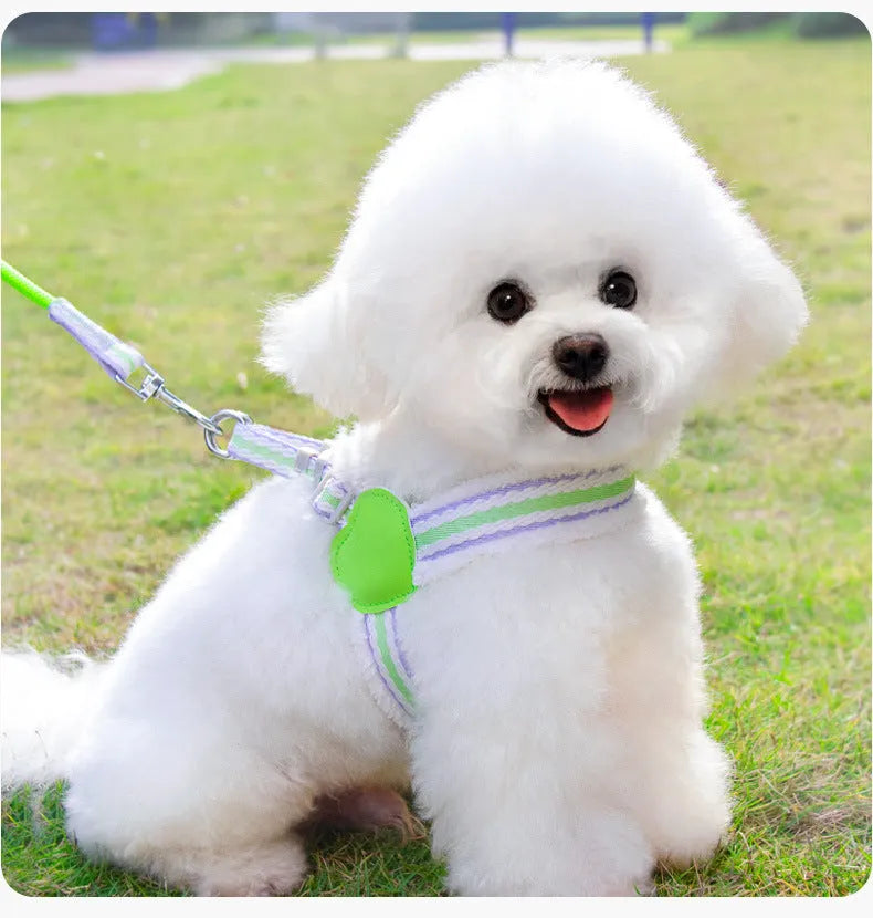 Blue breathable chest vest dog leash 1.5m for small medium dogs like Corgi Shiba Inu Bichon