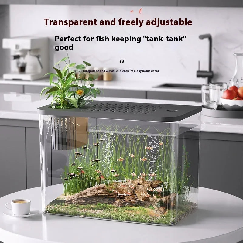 A medium-sized transparent plastic Betta fish tank with a black cover, measuring 32cm long.