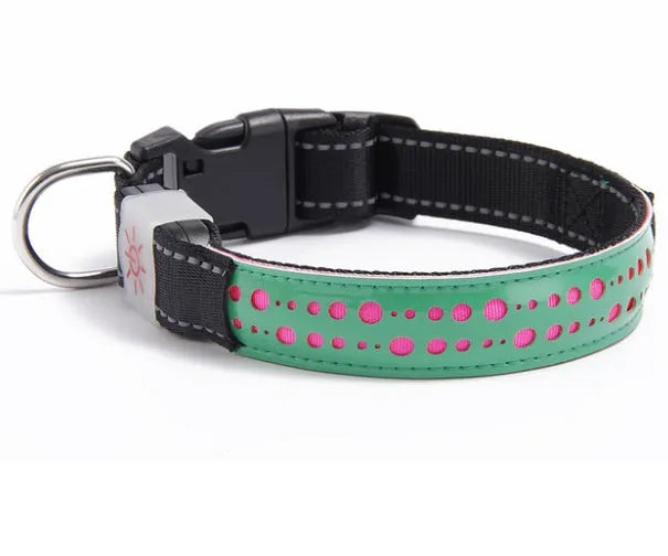 LED light pet collar USB rechargeable adjustable 40-60cm length 2.5cm width for dogs cats