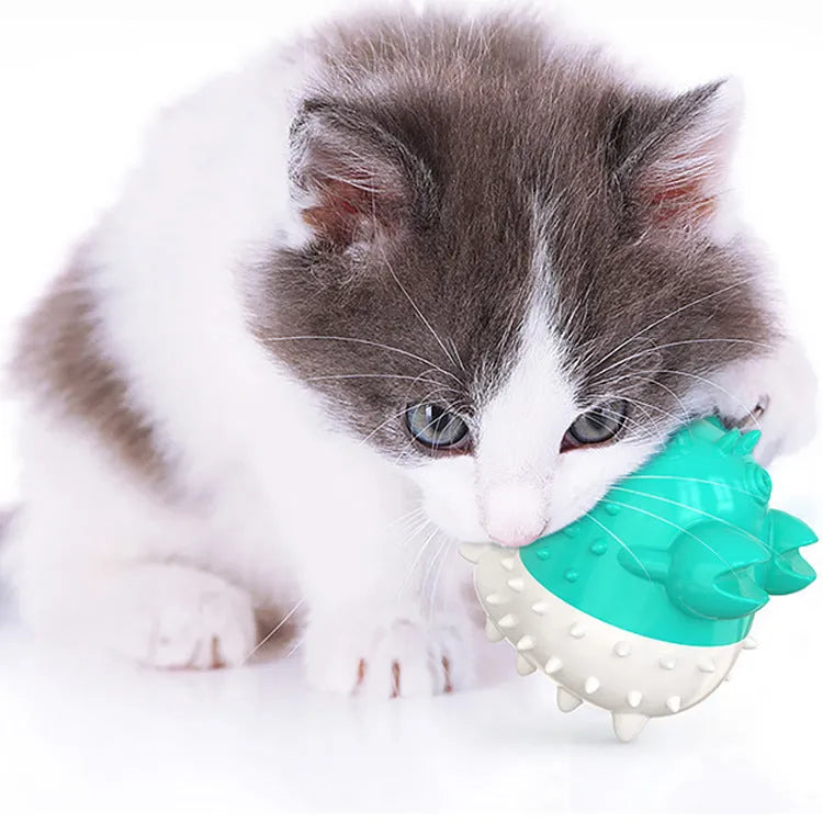 Electric vibration cat toy in blue, made of TPR material with USB charging port visible