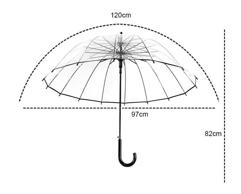 Transparent long handle umbrella showing 16-rib structure and black steel skeleton
