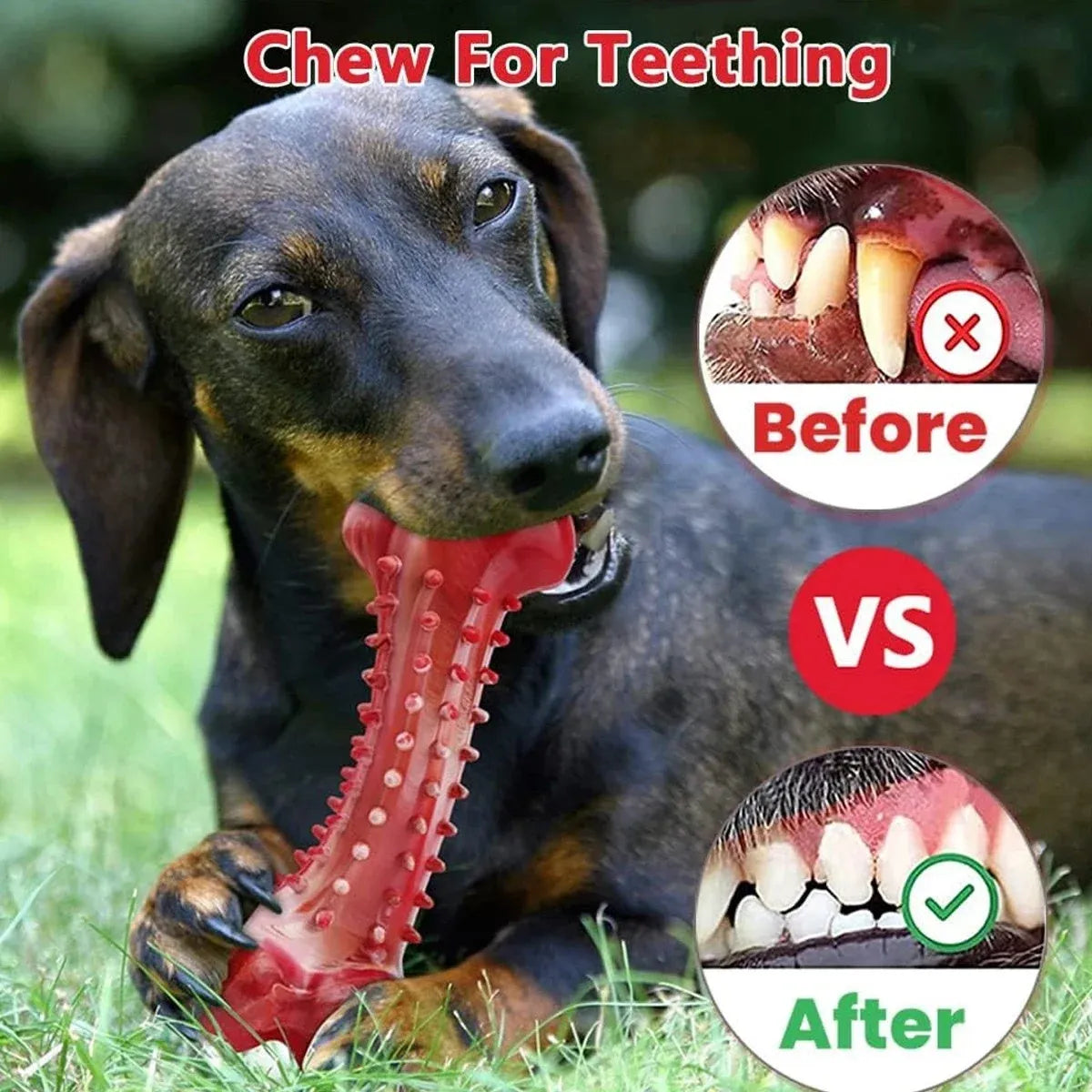 Natural rubber chew toy for aggressive dog chewing and heavy-duty use