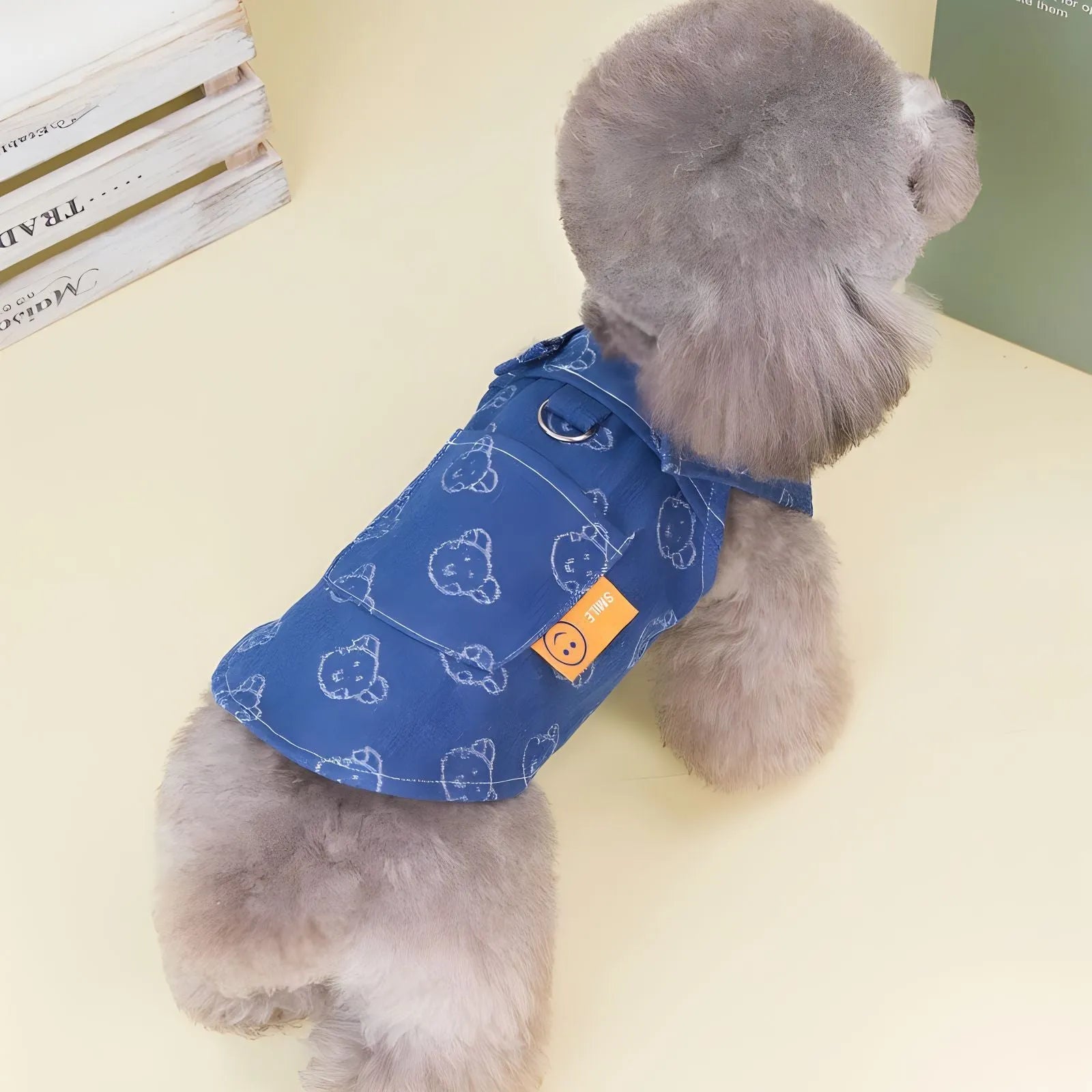 Bichon Frise dog wearing a light blue denim princess dress with a bracket skirt.
