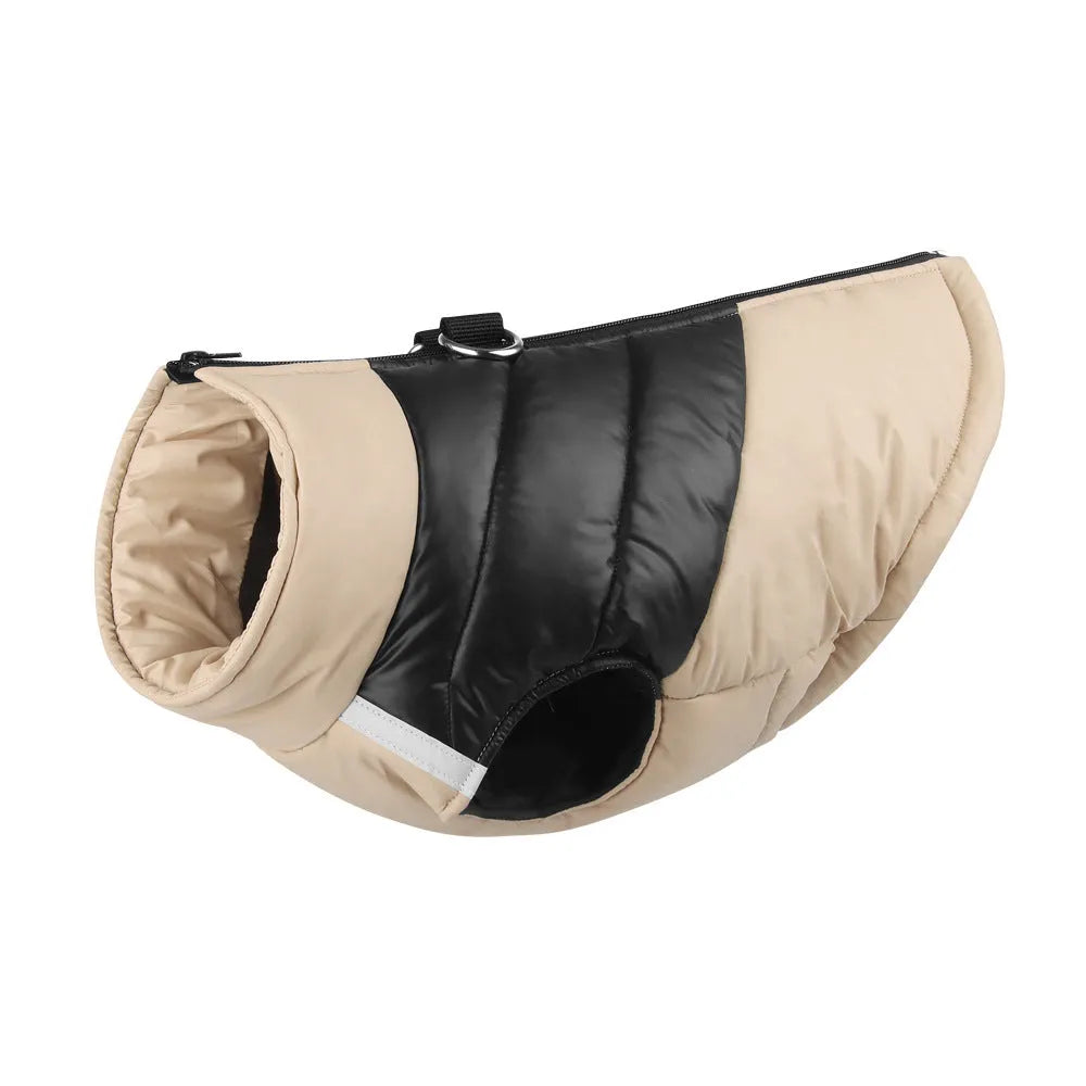 A dog wearing a blue waterproof padded winter coat with a front zip closure.
