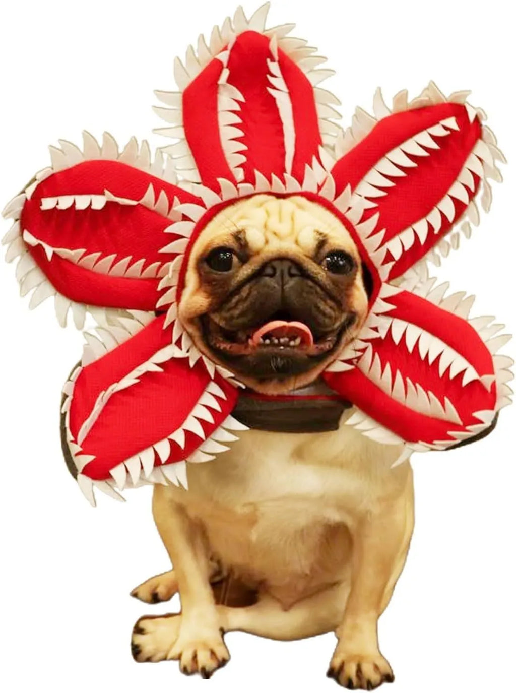 Medium dog wearing Halloween demon chomper costume with scary flower headband