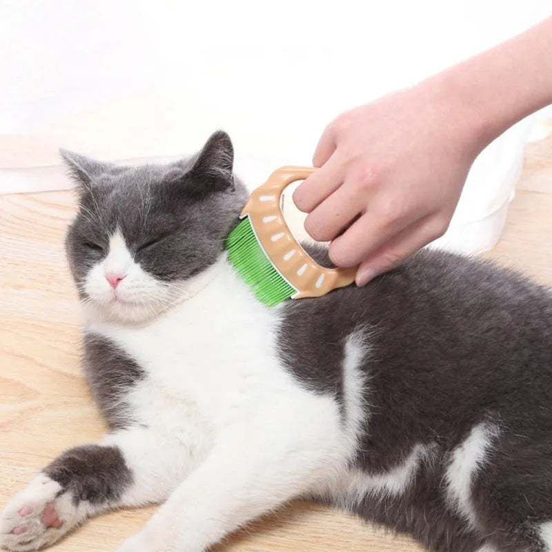 Green shell-shaped pet grooming brush with fine wire bristles on a white background.