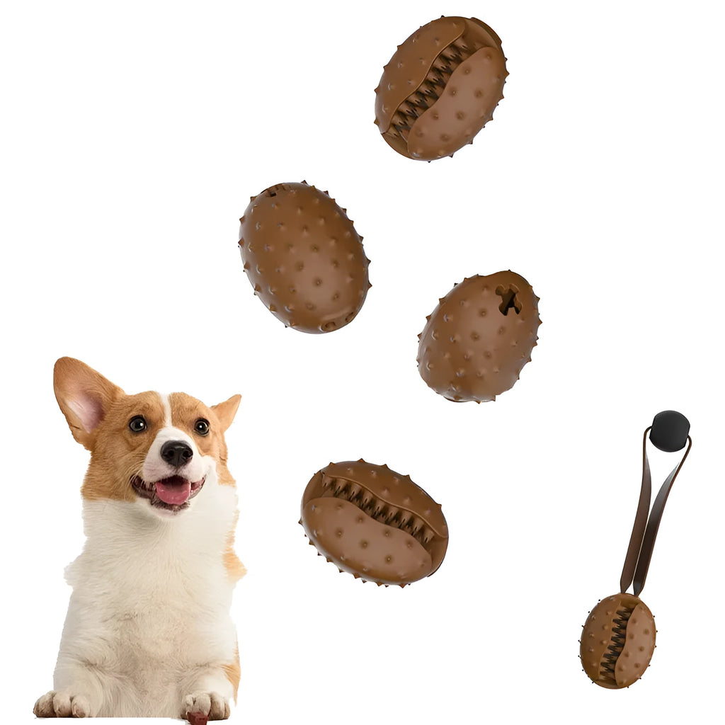Coffee bean shaped dog chew toy with textured surface and visible rope knot interior for tooth cleaning