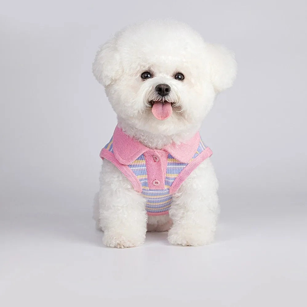 Pink purple vest for a small dog, shown as an autumn coat.