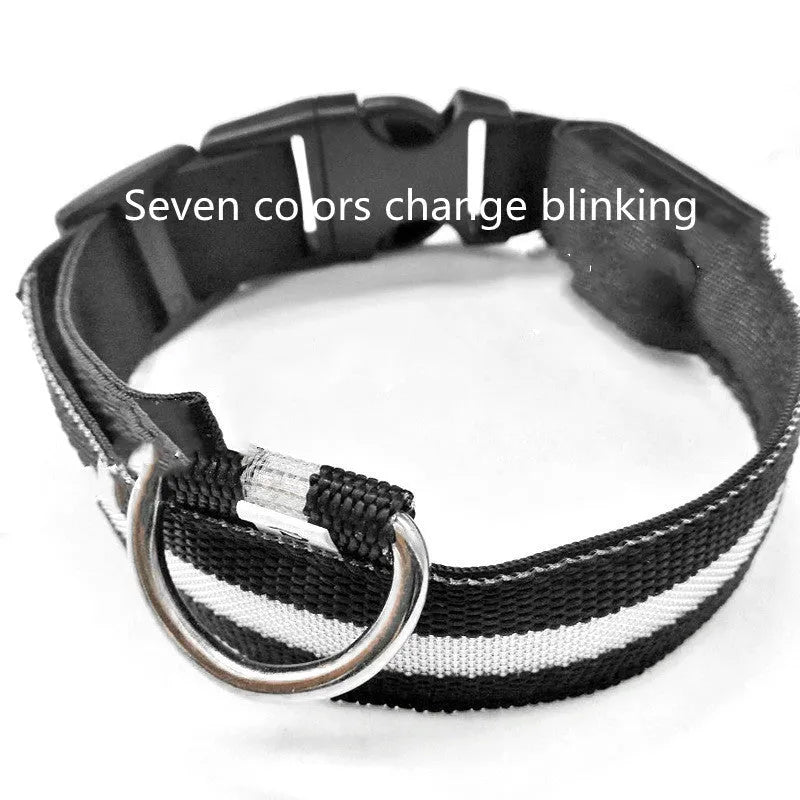 Anti-lost luminous dog collar nylon webbing with battery option in blue colour on white background