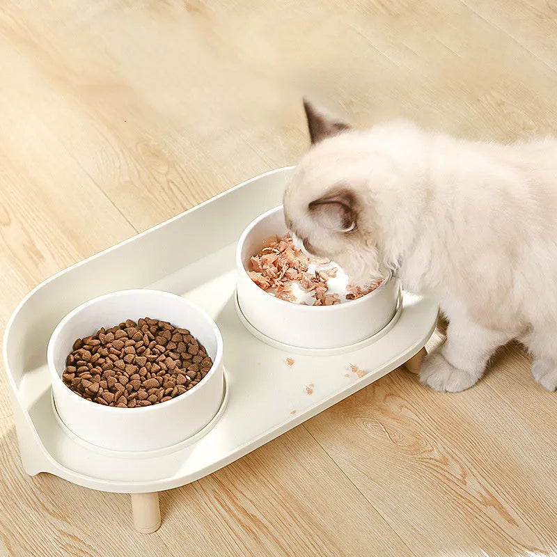 Green adjustable tilted double pet food bowl with spill-proof edges for cat and dog feeding