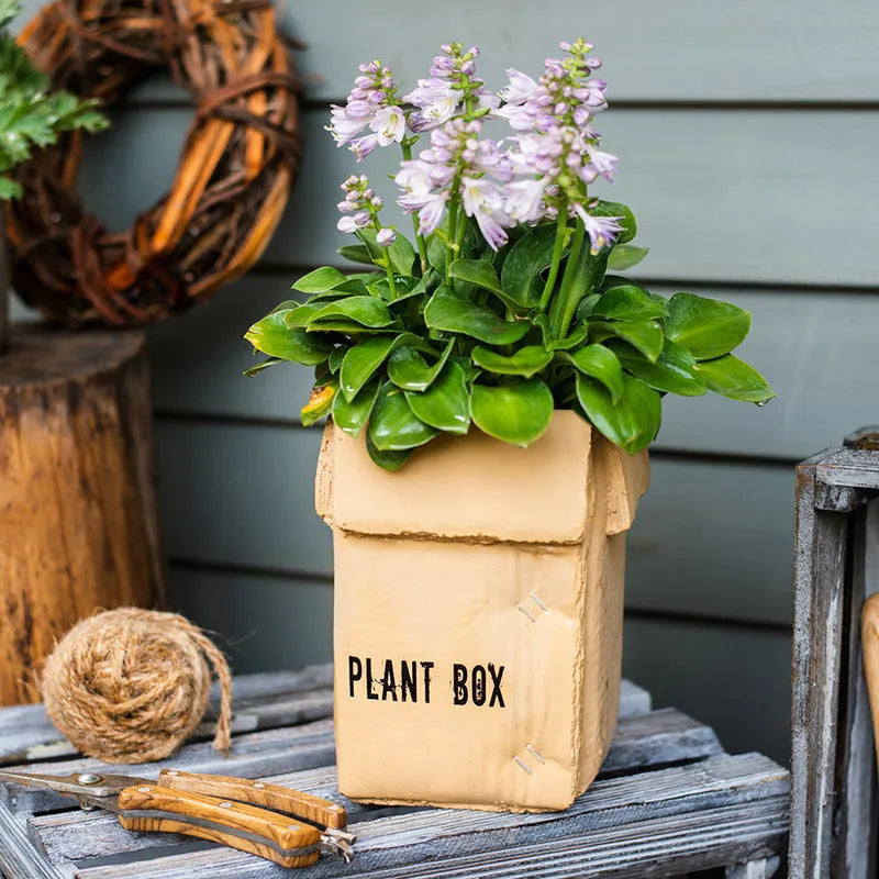 Cement flowerpot with brown paper box finish and drainage holes in bottom
