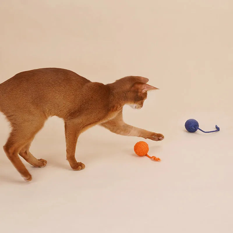 Cat teaser toy stick set with bite-resistant catnip ball measuring 255mm with blue, green, red yellow blue colour options