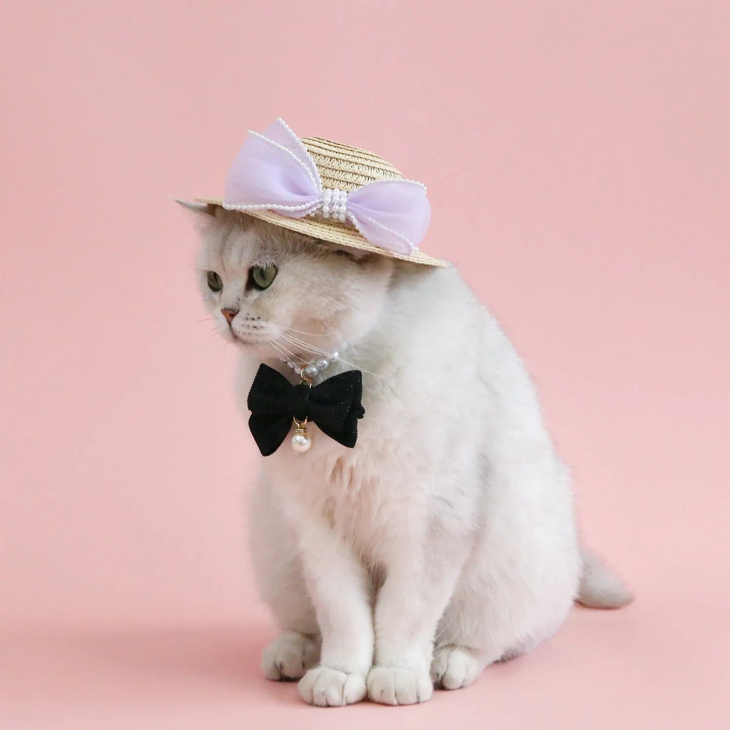 Woven straw hat with pearl bow decoration for cats, available in four colours and two sizes