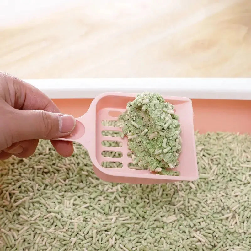 Blue plastic cat litter scoop, 20cm long, for cleaning litter trays.