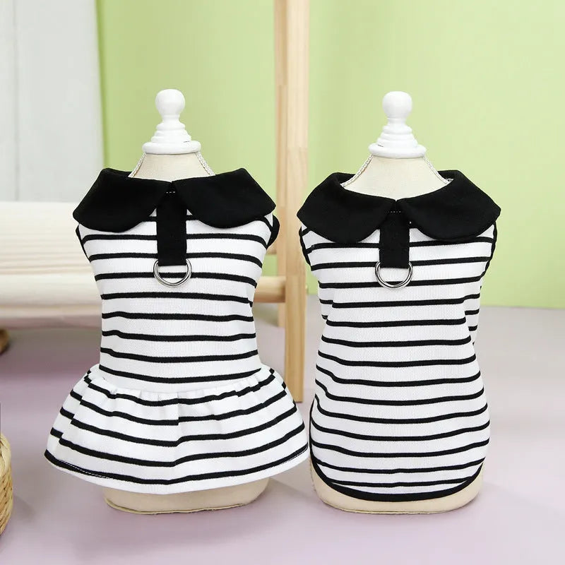Pet wearing matching summer stripes T-shirt and skirt set for dogs or cats