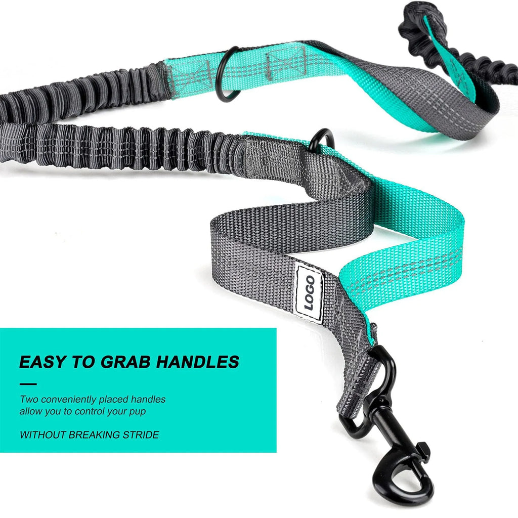 Black waterproof nylon pet training waist bag with dog leash and collar set for outdoor use