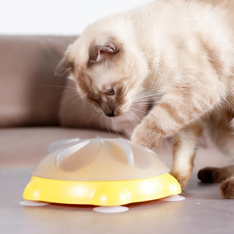 Yellow plastic cat feeding plate with maze design and obstacle ridges for slow feeding