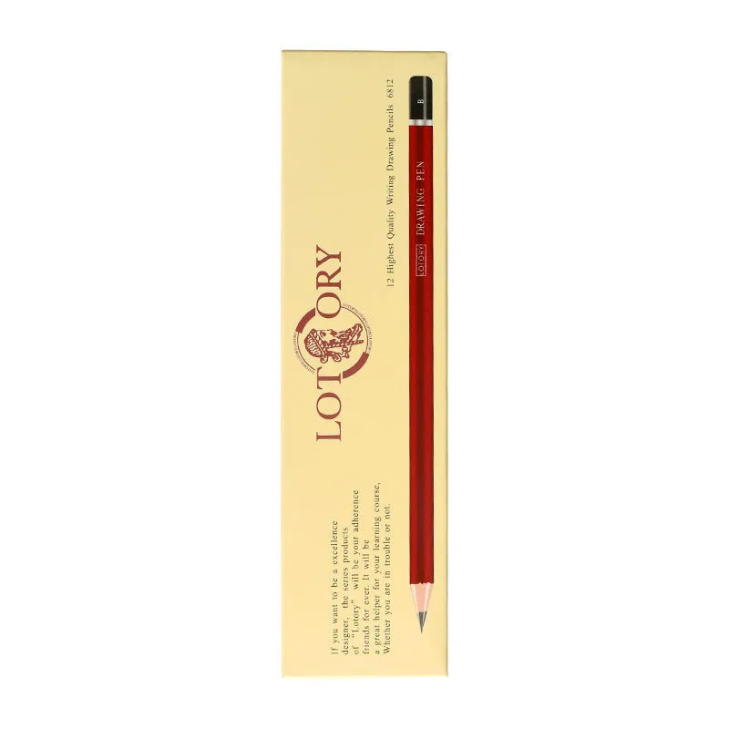 Professional charcoal pencil art set with multiple hardness grades and soft carbon sticks for sketching