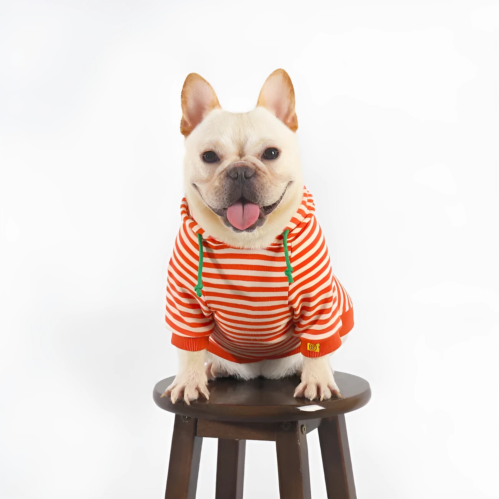 Orange cotton hooded sweater on a dog, showing the front and hood design.