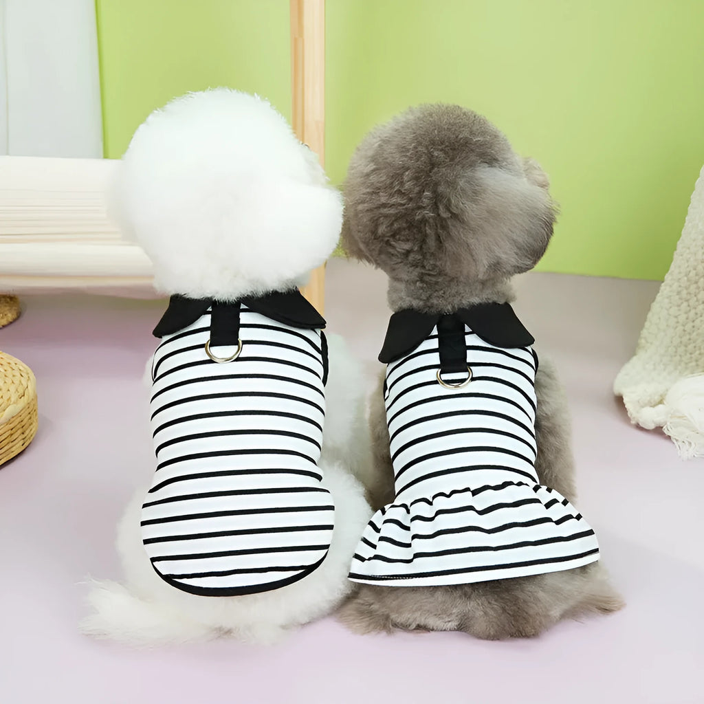 Pet wearing matching summer stripes T-shirt and skirt set for dogs or cats