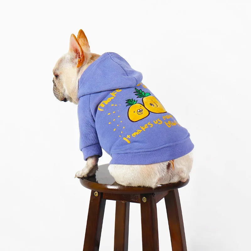 Blue and purple cartoon printed cotton pet hoodie for winter wear