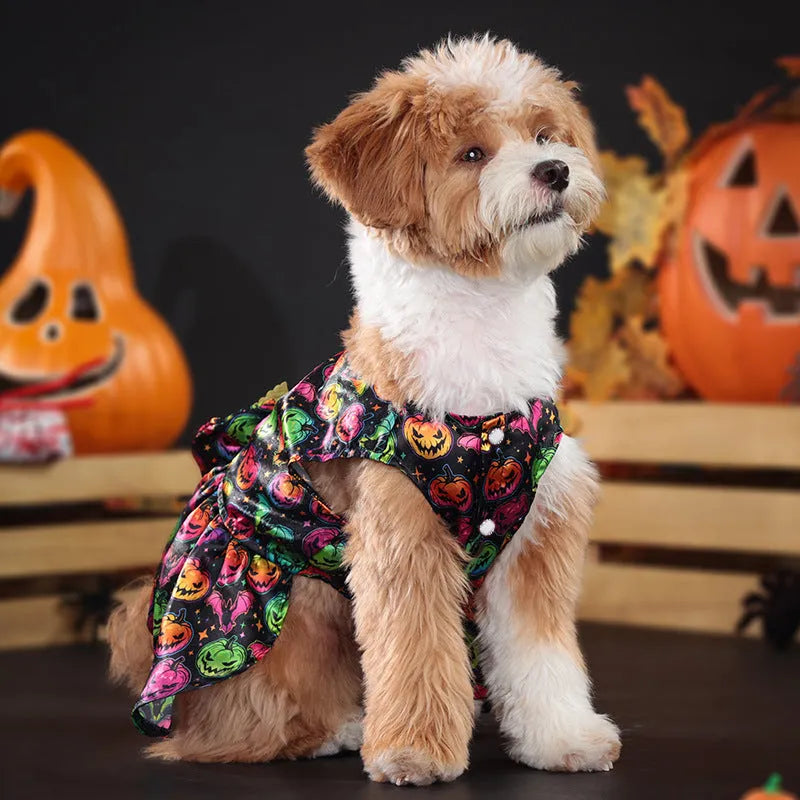 Angel wings Halloween dog costume in bright pumpkin colour, size medium on small dog