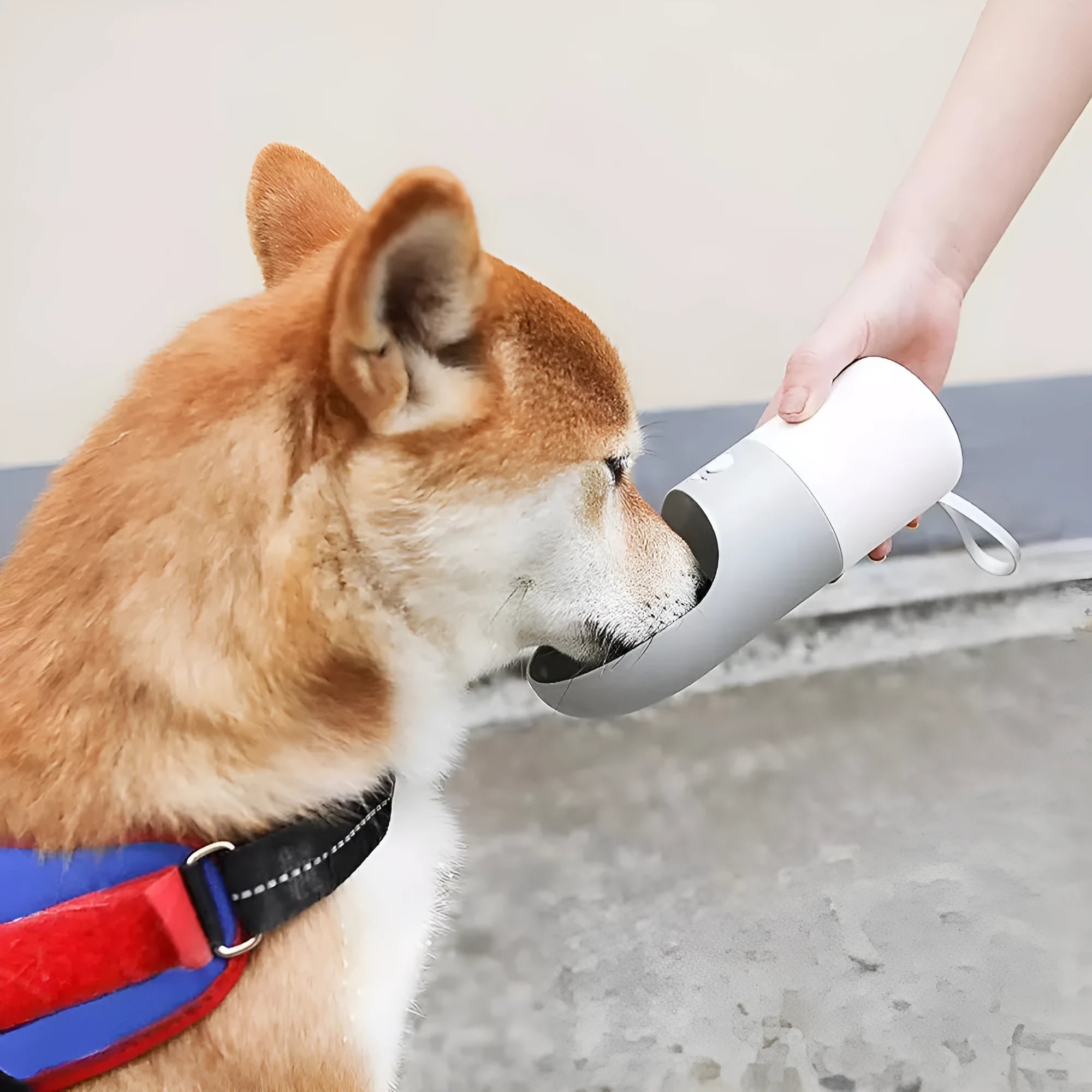 White Moestar Rocket Pet Cup with grey accents, showing the water outlet and one-button lock on a portable dog water bottle.