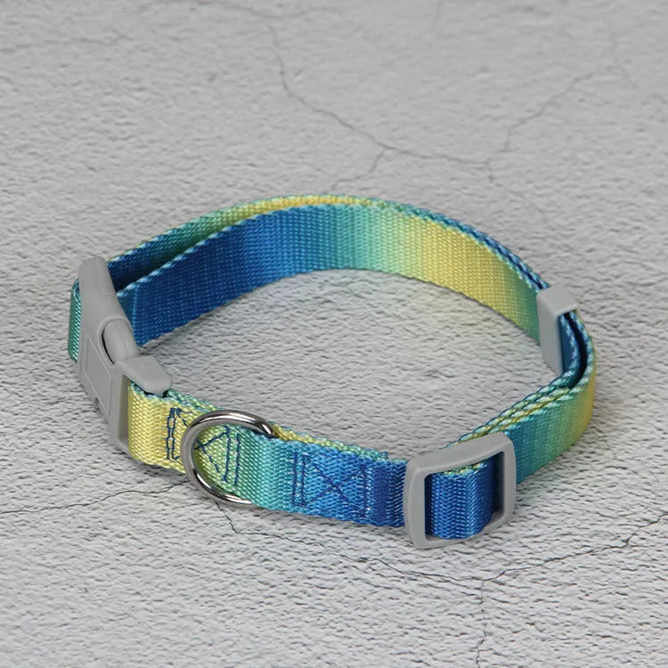 Nylon dog leash set showing gradient colour options including pink blue yellow purple green patterns