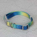 Nylon dog leash set showing gradient colour options including pink blue yellow purple green patterns