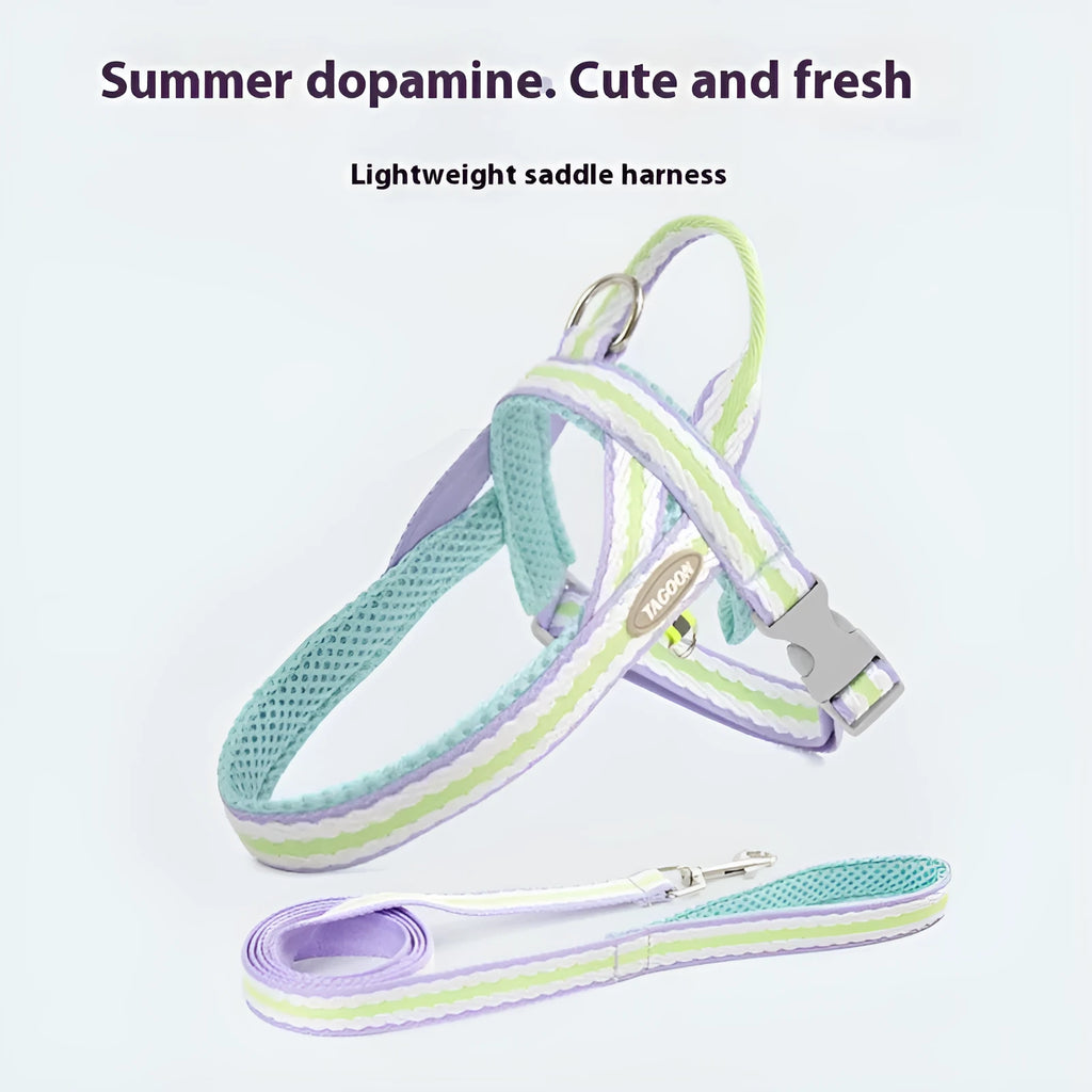 Lightweight dog harness and 1.4-metre walking rope set in various colours on a size chart