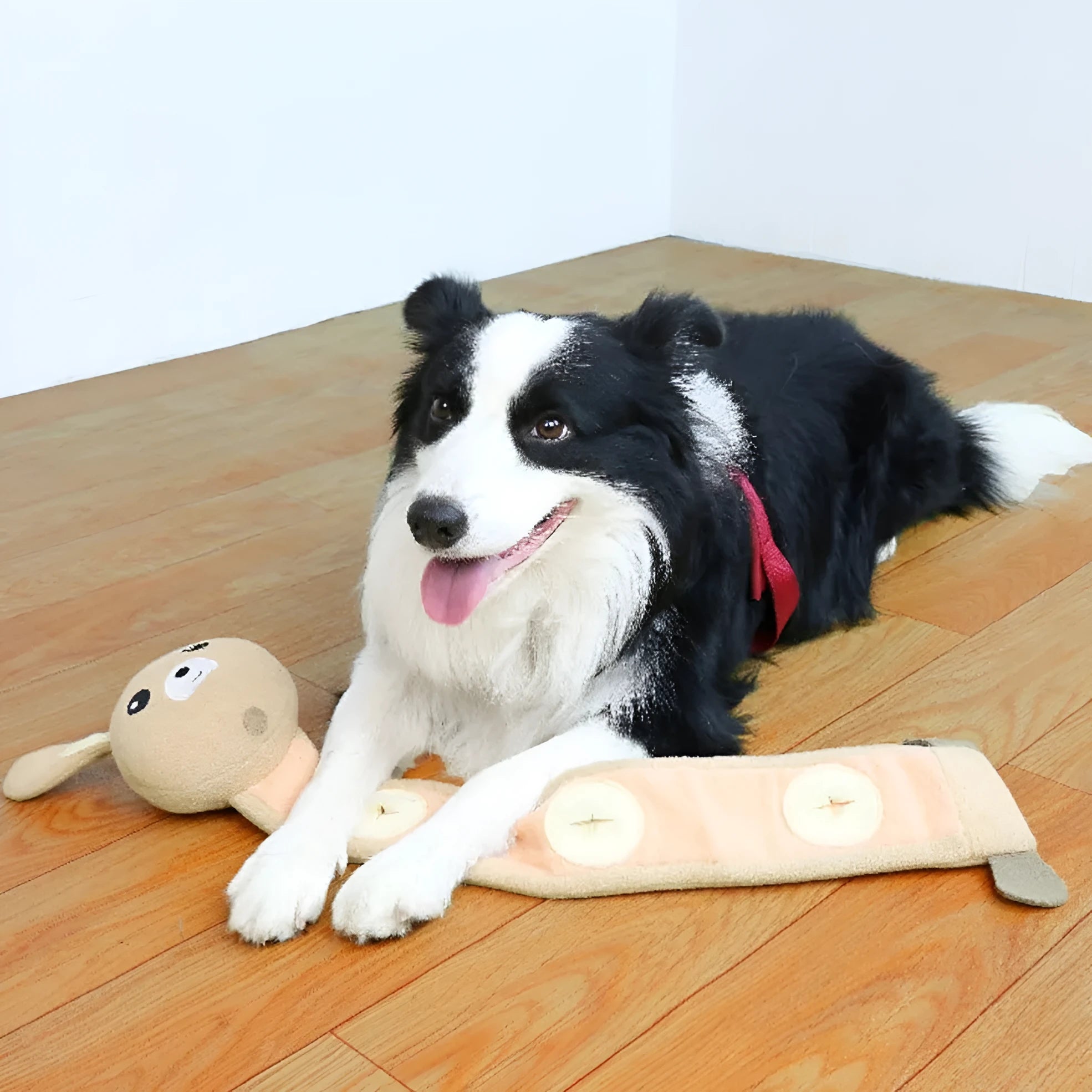 Fleece Rabbit plush dog toy with squeaker for training and food hiding games