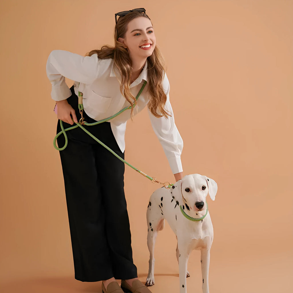 Nylon dog hand holding rope 240cm x 10mm in Shadow White colour for small and medium dogs
