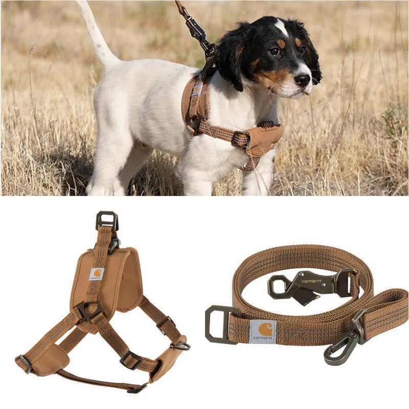 Dog wearing a chest strap harness connected to a reflective hand holding rope