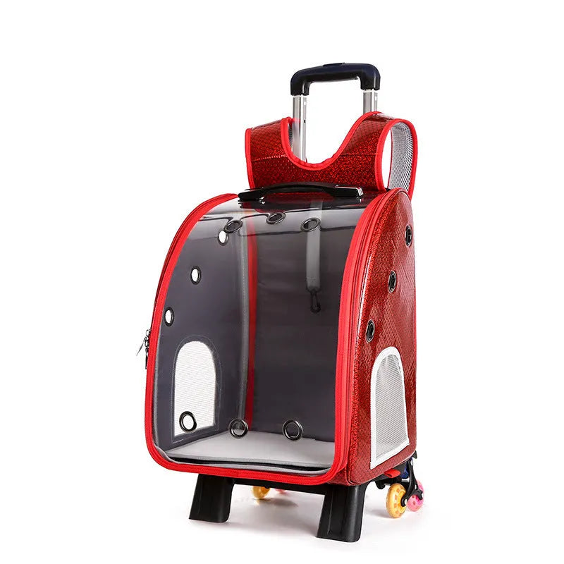 Blue transparent pet trolley with folding cover next to its detachable Oxford cloth shoulder bag.