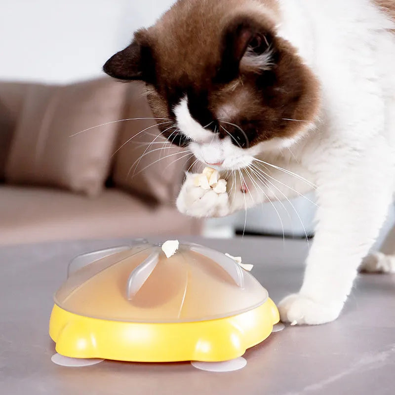Yellow plastic cat feeding plate with maze design and obstacle ridges for slow feeding
