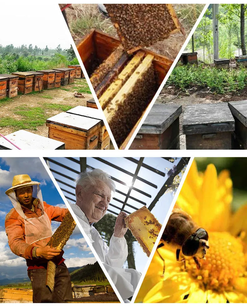 Stainless steel manual bee smoker with leather components for agricultural beekeeping