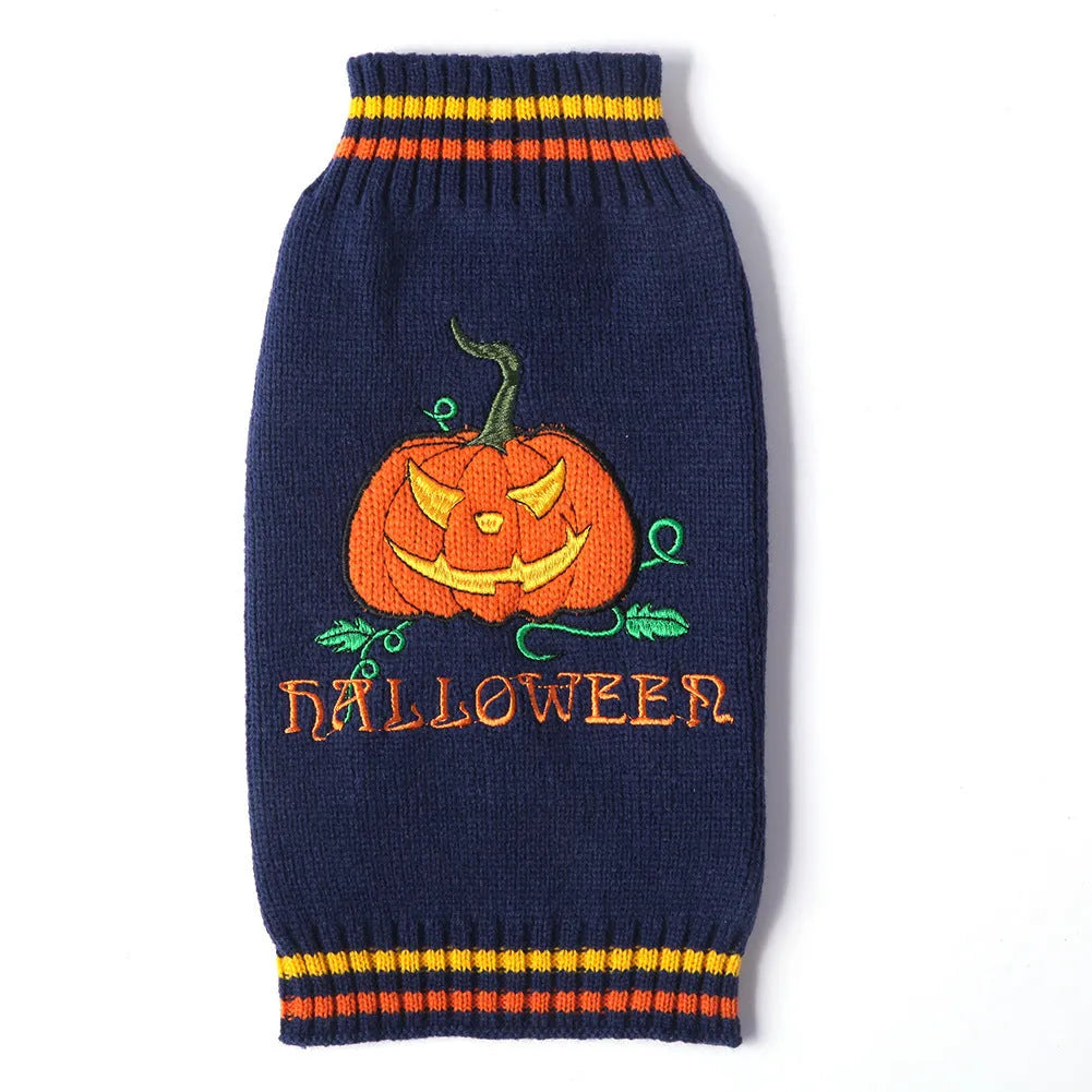Dog wearing a knitted pumpkin sweater in orange black pumpkin colour, standing on a wooden floor